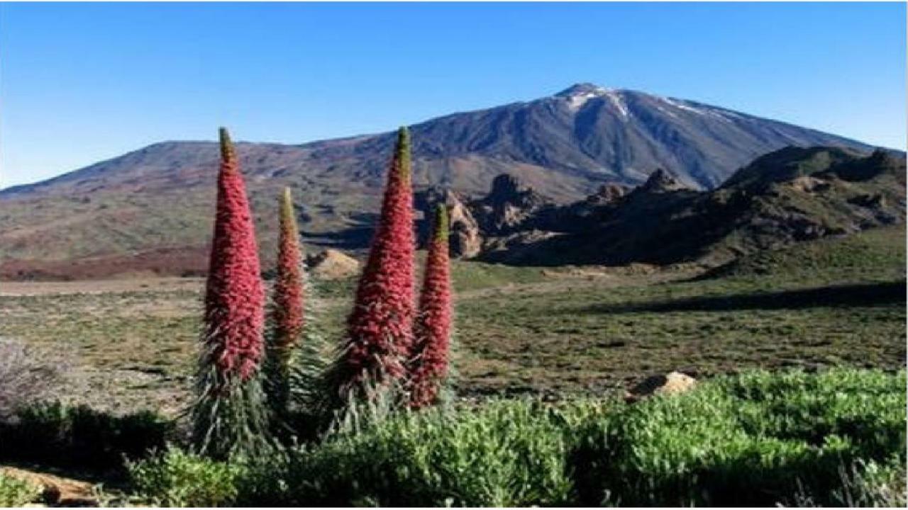 Apartamento Primavera طوستا ديل سيلونثيو المظهر الخارجي الصورة